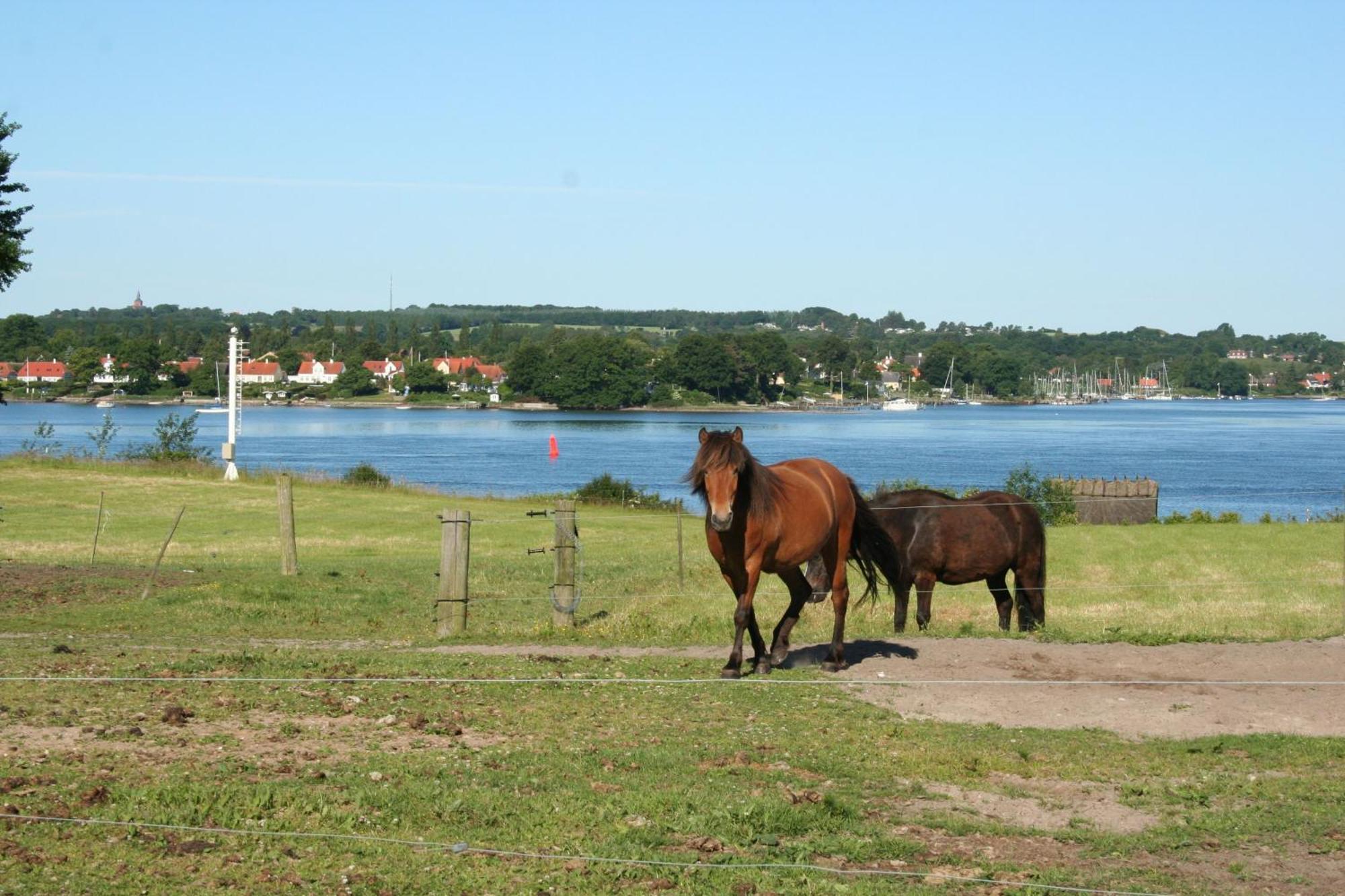 Grastenhus Holiday home *