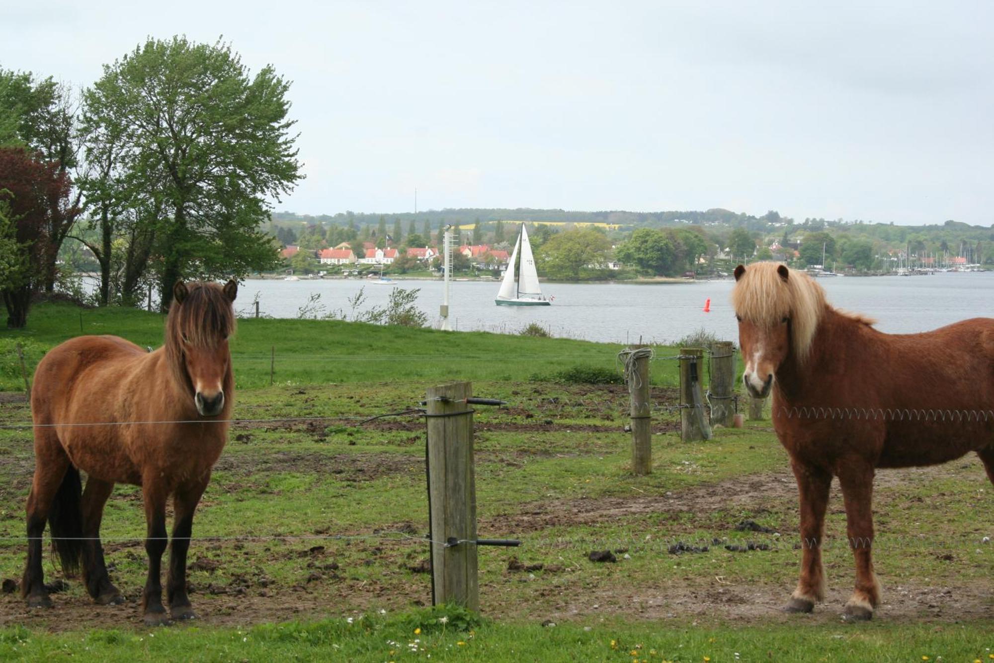 Holiday home Grastenhus